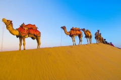 Camel-Ride-Desert-Adventure-Cmap-Jaisalmer-9785356486-13