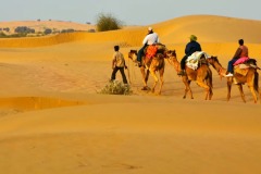 Camel-Ride-Desert-Adventure-Cmap-Jaisalmer-9785356486-14