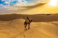 Camel-Ride-Desert-Adventure-Cmap-Jaisalmer-9785356486-2