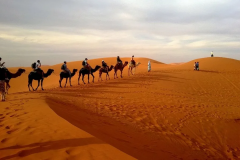 Camel-Ride-Desert-Adventure-Cmap-Jaisalmer-9785356486-4