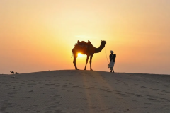 Camel-Ride-Desert-Adventure-Cmap-Jaisalmer-9785356486-6