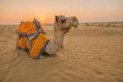 Camel-Ride-Desert-Adventure-Cmap-Jaisalmer-9785356486-9