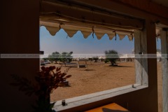 Desert-Adventure-Camp-jaisalmer-23